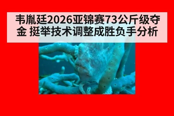 韦胤廷2026亚锦赛73公斤级夺金 挺举技术调整成胜负手分析
