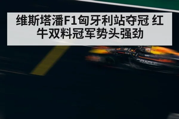 Max Verstappen Red Bull F1