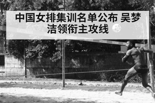 Wu Mengjie volleyball