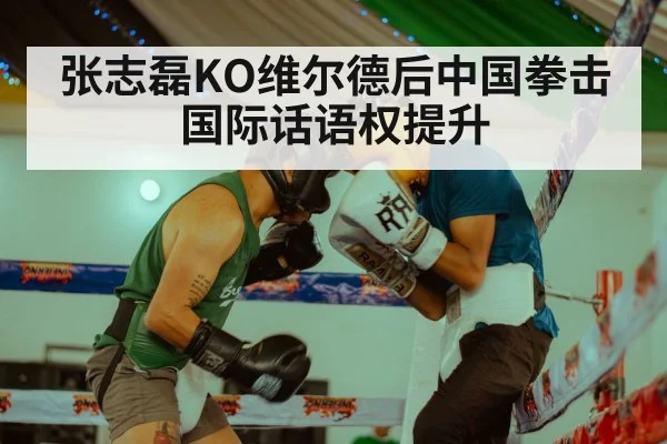 张志磊KO维尔德后中国拳击国际话语权提升