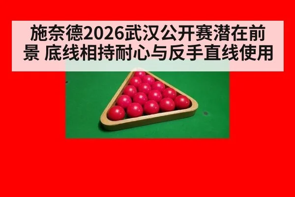施奈德2026武汉公开赛潜在前景 底线相持耐心与反手直线使用